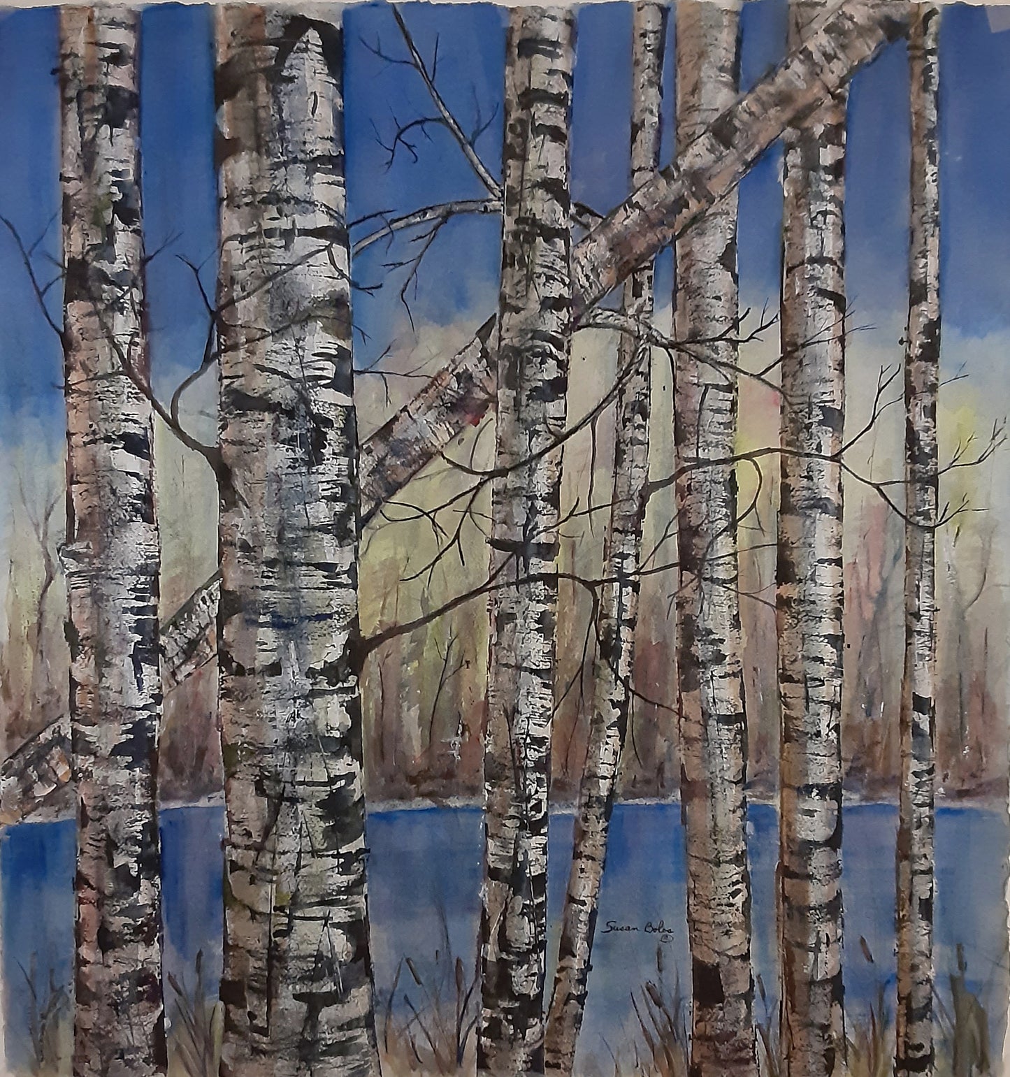 "Large Birch Trees Series 2-1 " O#548 -Original watercolor painting
