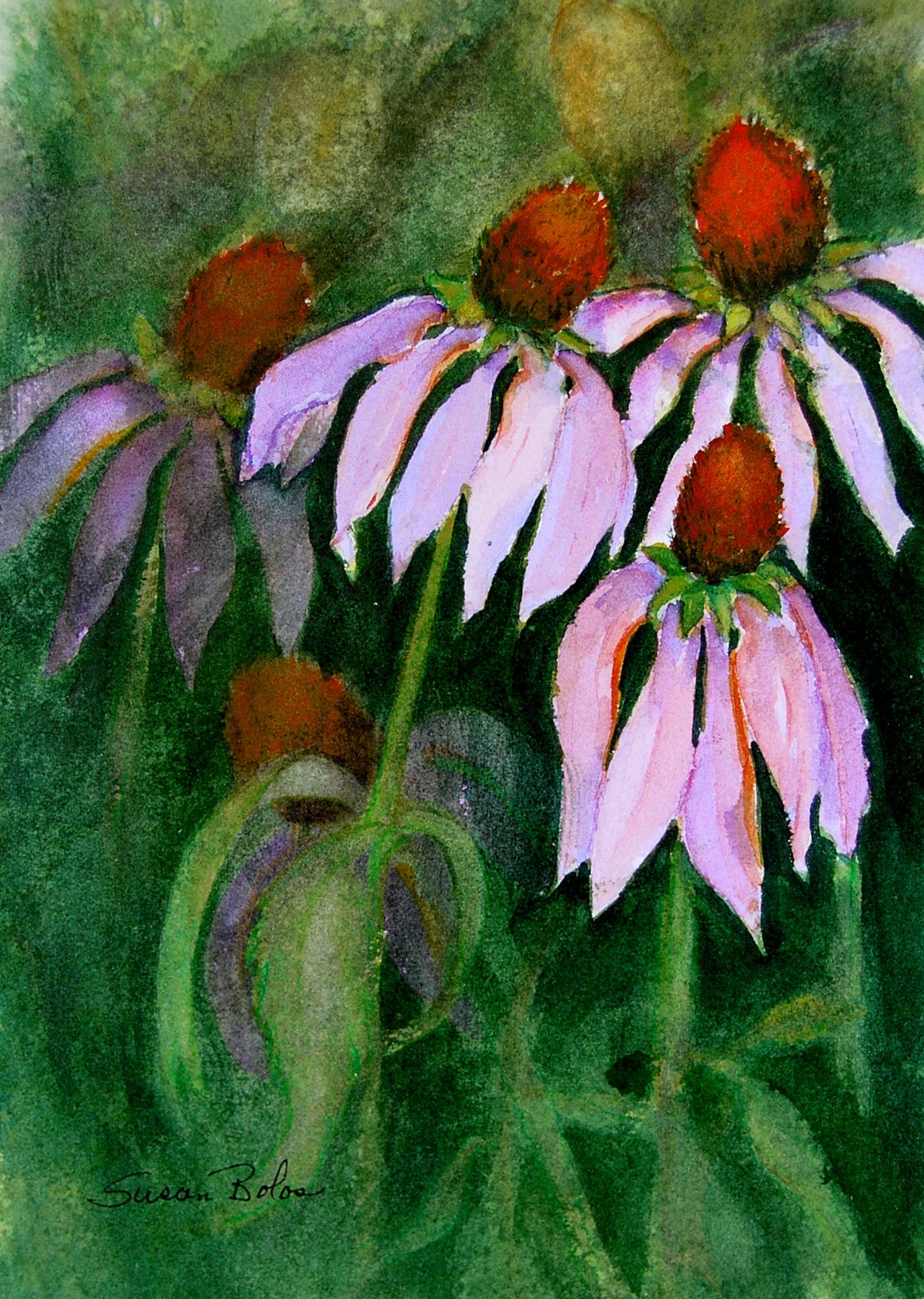 "Cone Flowers" - print on paper P#2052