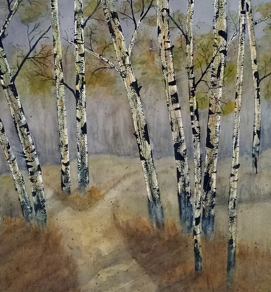 "Large Birch Tree Series 2023-2         O#620  Upper Amity"