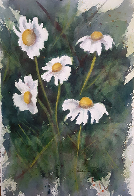 "Daisies"   O#230  - Original painting on paper