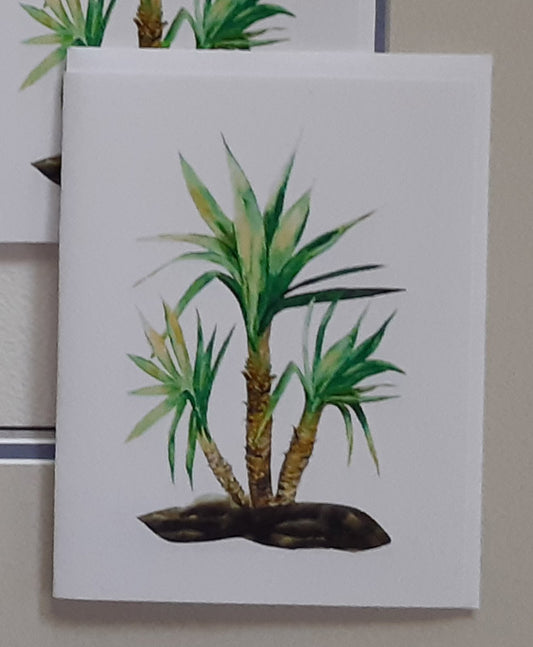 "Palm Trees"     Box of 8 Note Cards & envelopes  C#25