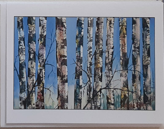 "Birch Trees"    Box of 8 Note Cards & envelopes  C#4