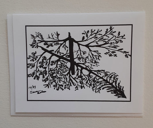 "Broken Tree"    Box of 8 Note Cards & envelopes  C#6