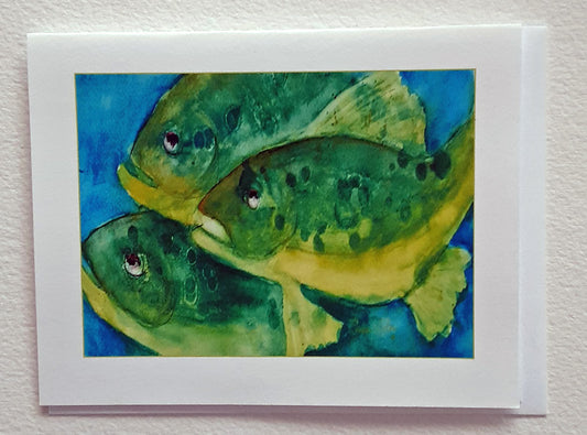 "Fishie"    Box of 8 Note Cards & envelopes  C#15