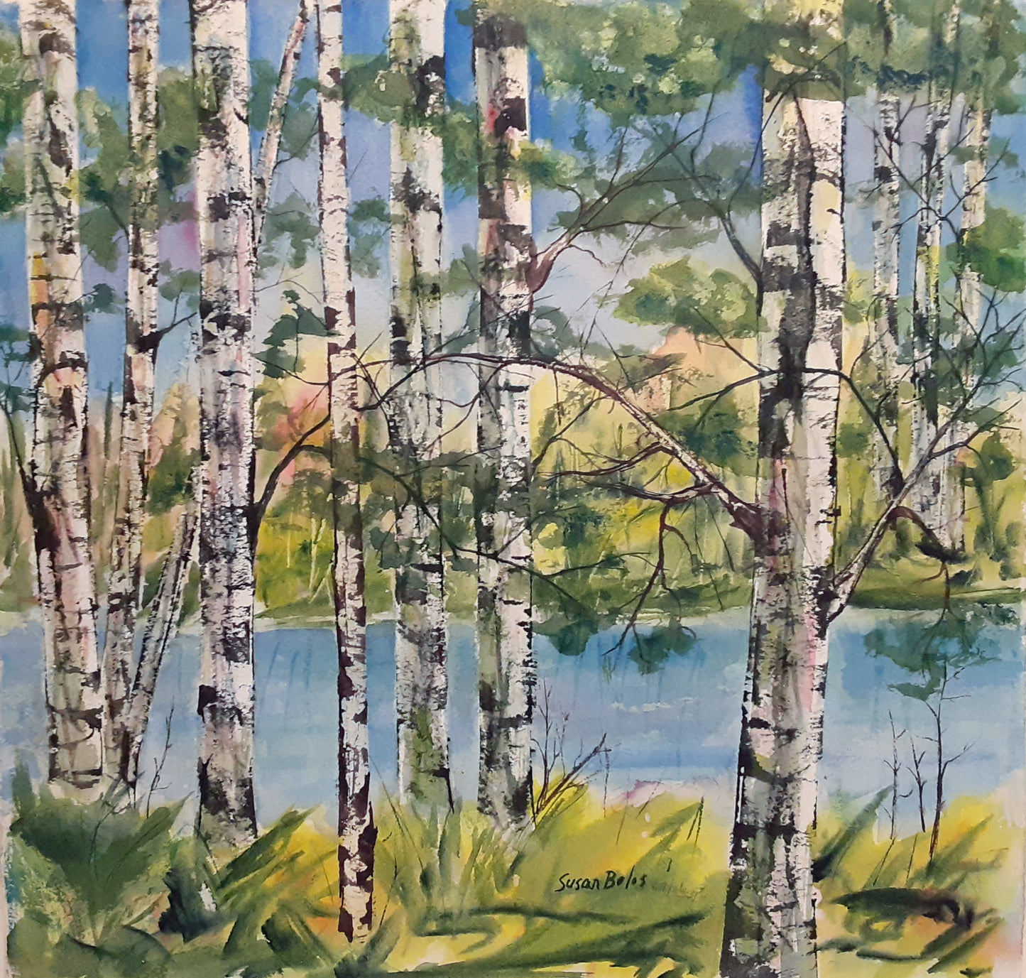 "Birch Trees"  O#502  - Original painting on paper