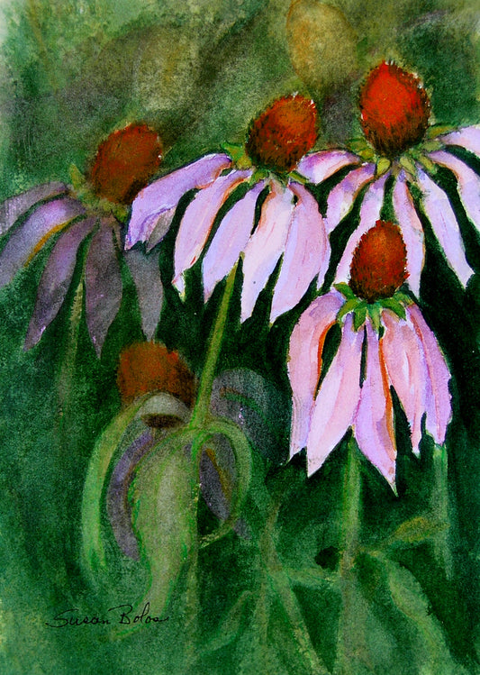 "Cone Flowers" - print on paper    P#2052